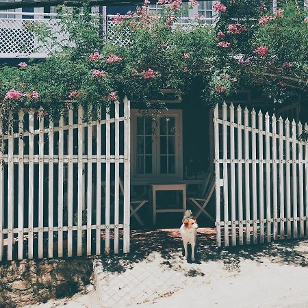 دالات Nha Tim Homestay المظهر الخارجي الصورة