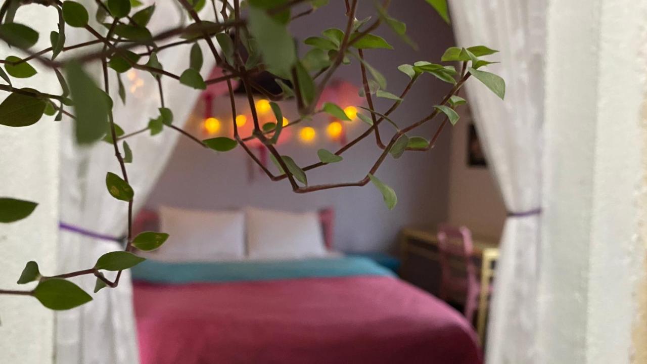 دالات Nha Tim Homestay المظهر الخارجي الصورة